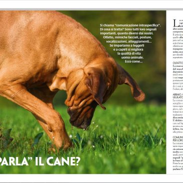 Come “parla” il cane? – L- Pierantoni