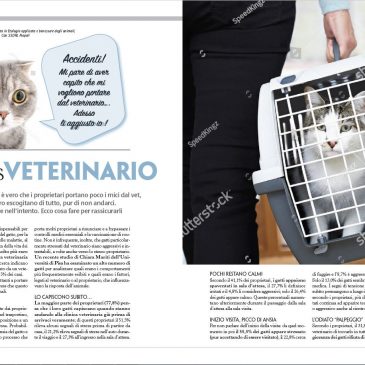 GATTO vs VETERINARIO – L. Pierantoni