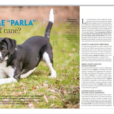 Come “parla” il cane? – L. Pierantoni