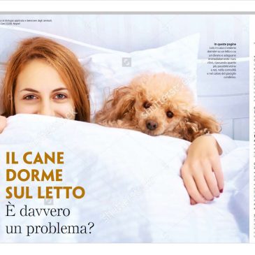 Il cane dorme sul letto è davvero un problema? – L. Pierantoni
