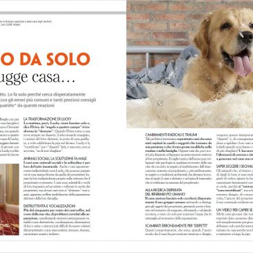 Se fido da solo distrugge casa… – L. Pierantoni