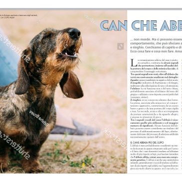 Can che abbaia.. – L. Pierantoni