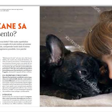 Il mio cane sa come mi sento? – L. Pierantoni