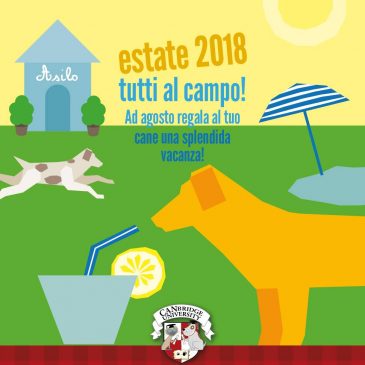 Solo per il mese di Agosto, presso il CANbridge una vacanza per i vostri cani!