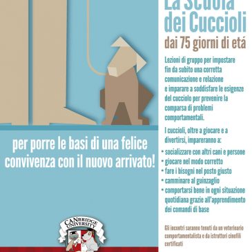 SEMPRE attivi PER I CUCCIOLI al CANbridge University