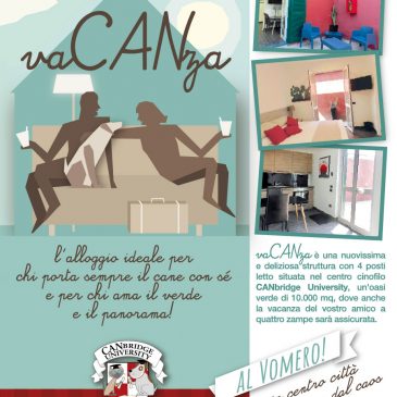 Casa vaCANza a Napoli