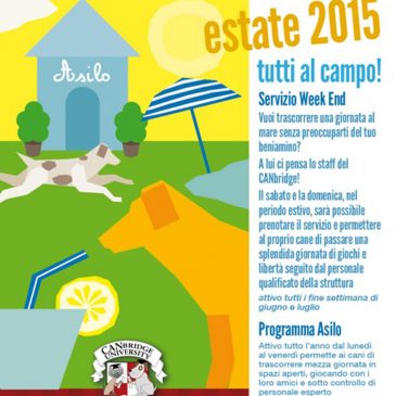 Solo per il mese di Agosto, presso il CANbridge una vacanza per i vostri cani
