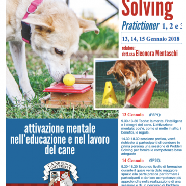 Corso di Problem Solving Practitioner