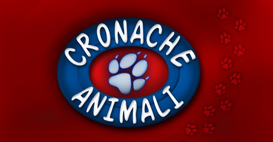Cronache animali