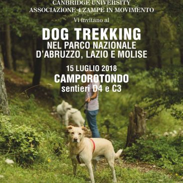Dog trekking nel Parco d’Abruzzo Lazio e Molise