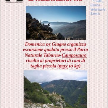Cani piccoli a raccolta! Si apre la stagione delle passeggiate, ma questa è tutta per voi…
