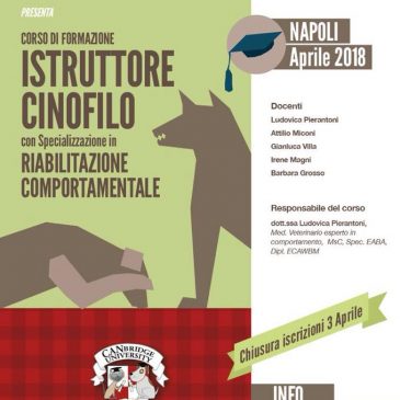 Istruttore cinofilo