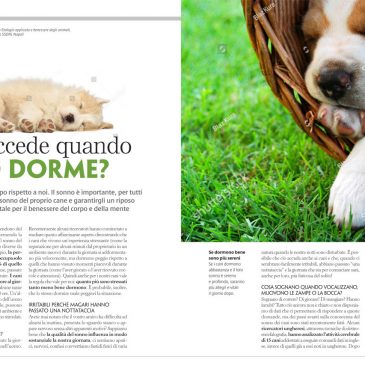 Cosa succede veramente quando Fido dorme – L. Pierantoni