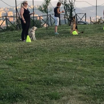 …Pronti per venerdì! Vi aspettiamo