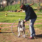 Corso per Tecnici Longhina GTZ