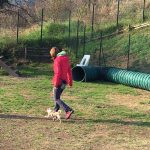 Stage di Obedience