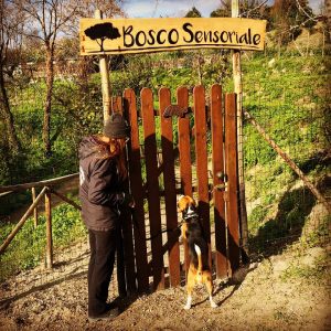 🎊🎉🌳 #buoncompleanno Rocco!!! Quale miglior modo di festeggiare se non con una bellissima #passeggiata nel #boscosensoriale  Peró dacci almeno il tempo di aprirti la porta 😂😂😂  #boscourbano #ariapulita #napoligreen #bellegiornate #canifelici #dogtracking #dogwalking