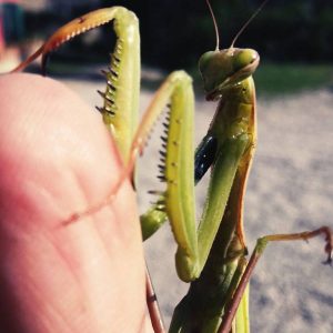 Scusa, ce l'hai con me? 