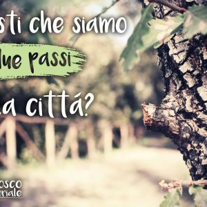 🌳🌳🌳 Ci siamo quasi! Presto apriremo le porte del #boscosensoriale a chiunque voglia farci visita... Continuate a seguirci per non perdervi le prossime info!!! #boscoincittà #dogwalking #natura #canifelici #angolodiparadiso
