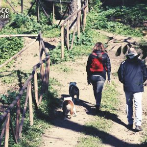 🌳🐶🐾 Primo weekend di rodaggio nel magico bosco a due passi dal Vomero! Il risultato? Guardatelo voi stessi!