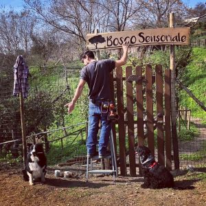 🌳🌞Un #giornodisole , un paio di aiutanti eccezionali e il #boscosensoriale continua a prendere forma 😍  #boscourbano #napoligreen #canifelici #dogwalking #dogtracking