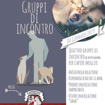 Gruppi di incontro da Gennaio 2019