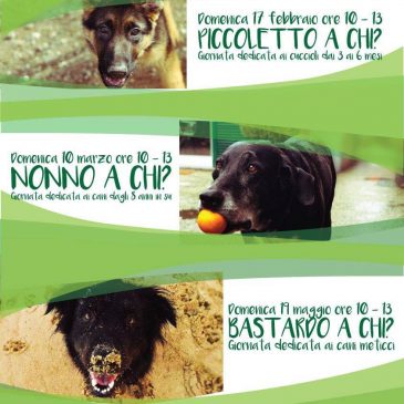 Piccoletto a chi? 17 Febbraio 2019