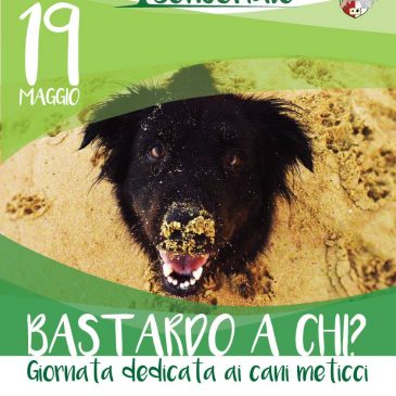 Bastardo a chi? – 19 Maggio 2019
