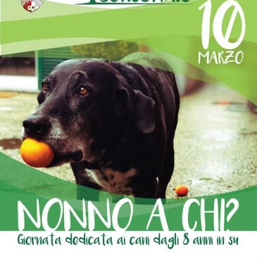 Nonno a chi? – 10 Marzo 2019