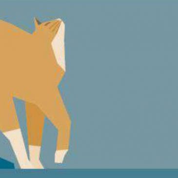 Gatto e Uomo – 12 Maggio 2019