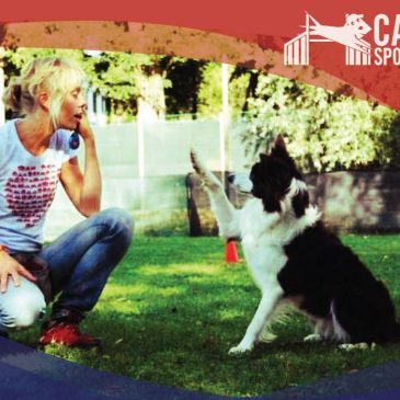 Stage di clicker training – 4 /5 Maggio 2019