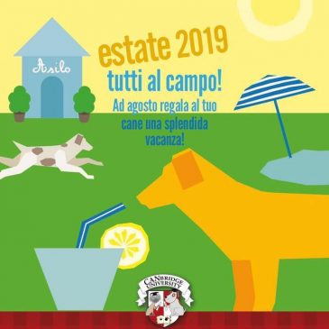 Estate 2019 tutti al campo!Ad Agosto regala al tuo cane una splendida vacanza