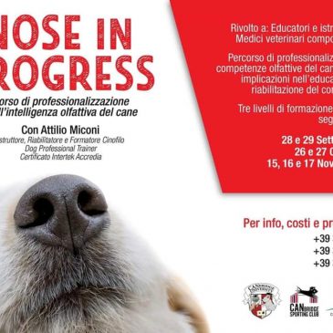 Nose in progress – 28/29 Settembre 2019