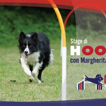 Stage di Hoopers con Margherita Pescollderungg – 19 / 20 Ottobre 2019