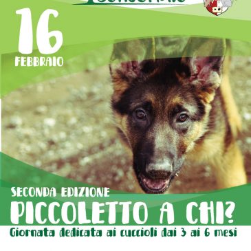 PICCOLETTO A CHI? 16 Febbraio 2020