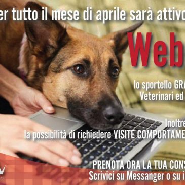 WebCAN