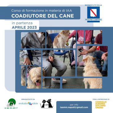 Corso di formazione in materia di IAA Coadiutore del Cane