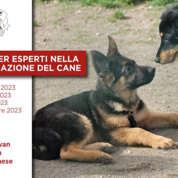 Corso per esperti nella comunicazione del cane