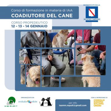 Corso di formazione in materia di IAA Coadiutore del Cane – Corso propedeutico