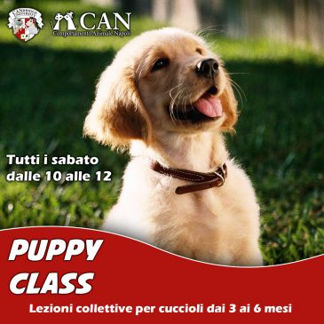 Puppy class